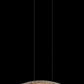 JS-SBL ER-10-321 Brass & Coffee Modern Chandeliers