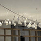 Wide view of the frosted glass drop cascade chandelier across a long ceiling run