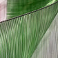 Close-up of the ombre strand ribbon material transitioning from clear to green