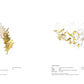 Flying Leaves Crystal Suspension Collection – A Statement Piece for Staircases & Double-Height Spaces - image 2