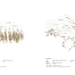 CONTOUR S and M compositions with dimensions
