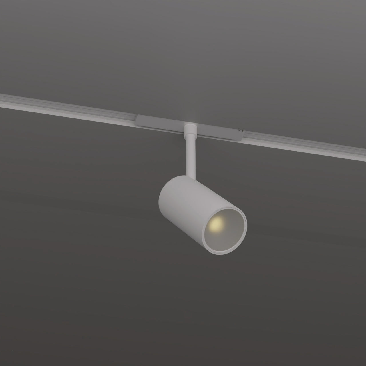 Bespoke Track Spot 10W — White (Ø45×100mm, 36° Adjustable Head)