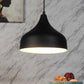 Plant Brown WOOD Hanging Light | MT-5011-1LP | Included Bulb | Eliante by Jainsons Lights