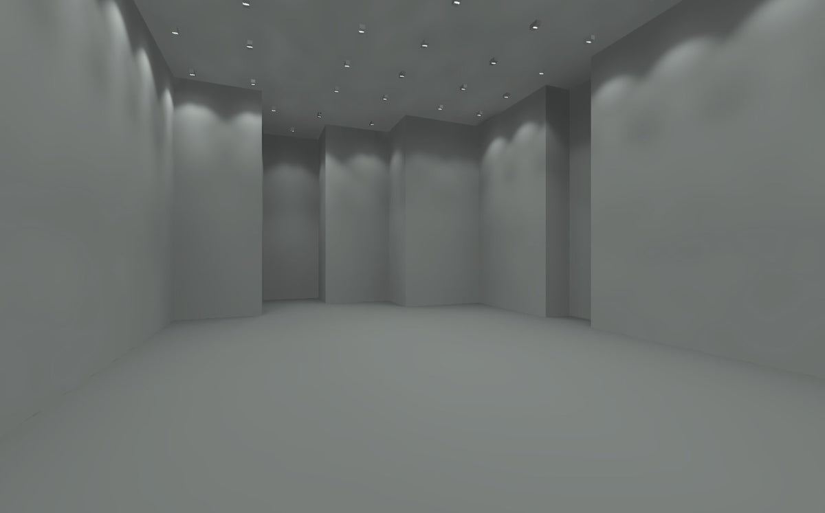 Unity Gym, Delhi — design visual of the gym hall, calculated in DIALux