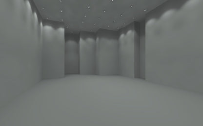 Unity Gym, Delhi — design visual of the gym hall, calculated in DIALux
