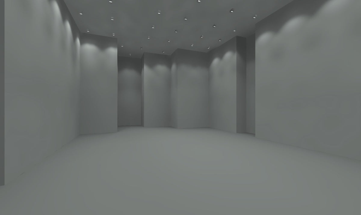 Unity Gym — design visual of the 6.1 m high hall with the planned lights, calculated in DIALux