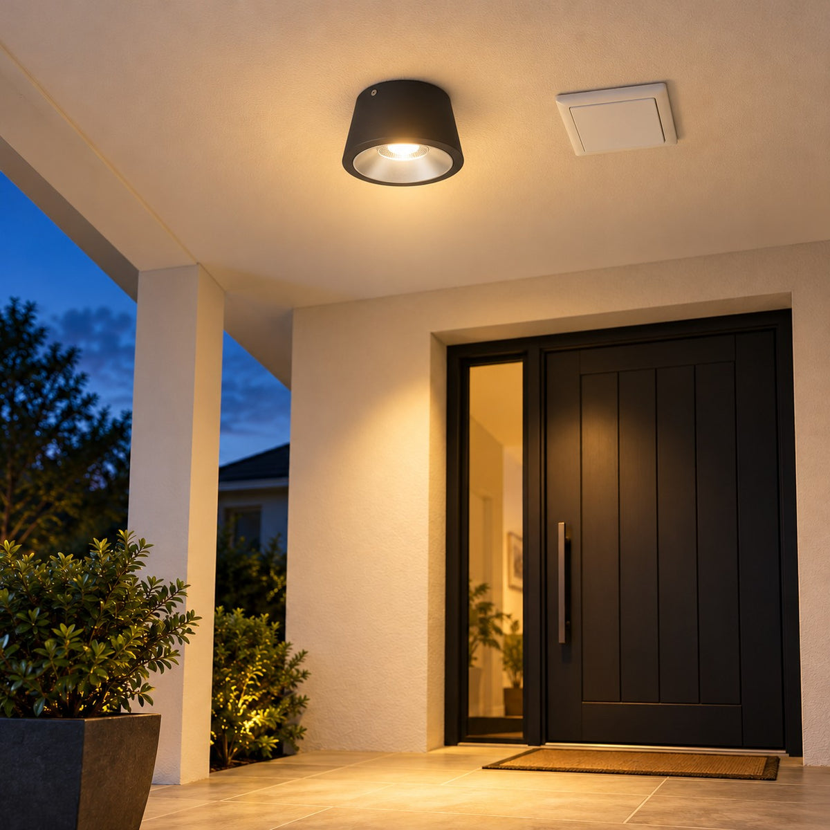 Outdoor Surface LED Downlights And Spots - 10W Outdoor IP65 Ceiling Fixture, 20W Outdoor IP65 Ceiling Fixture
