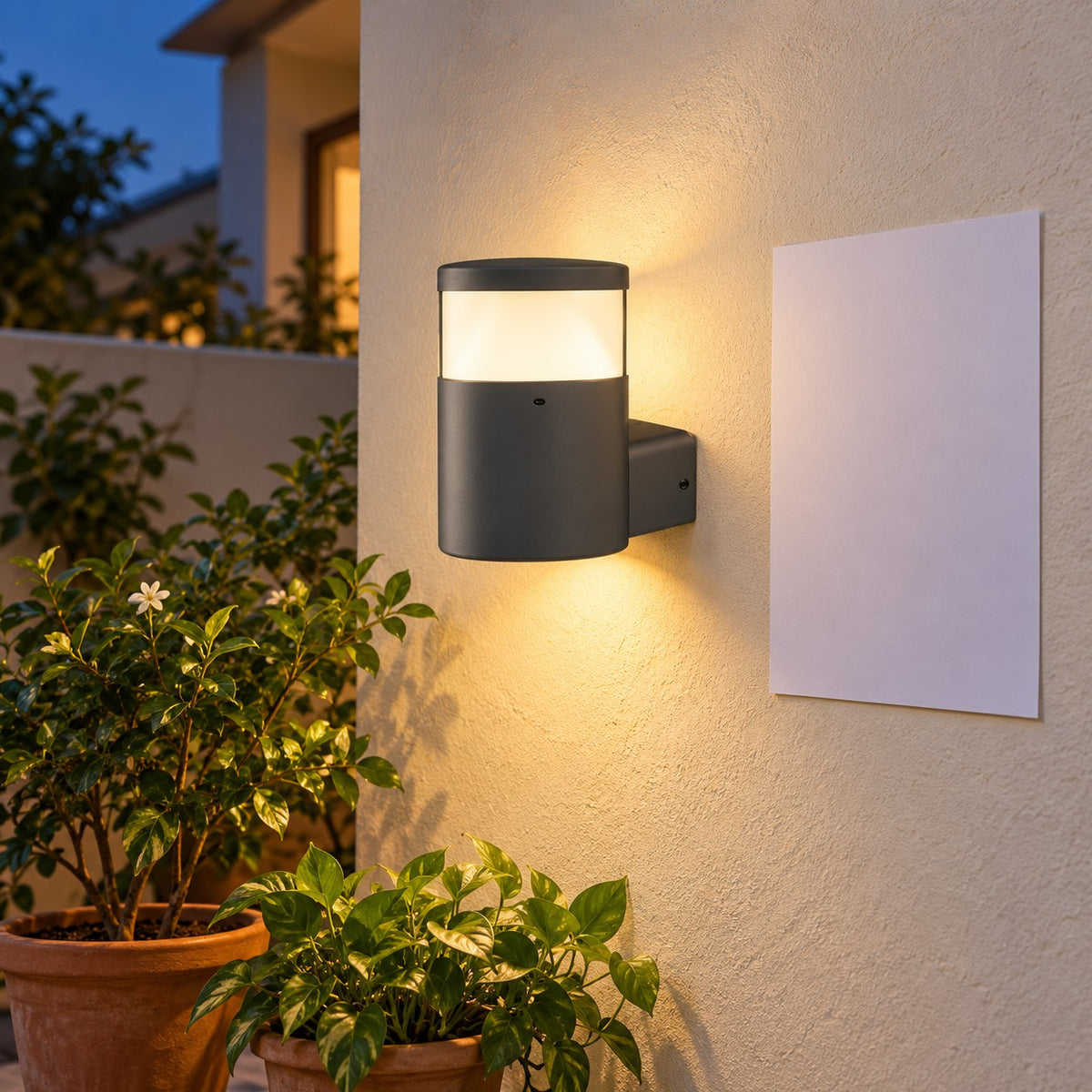 Decorative Outdoor LED Wall Lights – Range 2 - 6W Trimox Wall Fixture