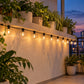 LED Neon Rope And Outdoor String Lights - 15Ft G40 E12 String Light, 50Ft G40 E12 String Light