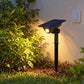 Mains And Solar Garden LED Spike Lights - 6W LED Solar Curvy Base & Spike Solar