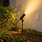Mains And Solar Garden LED Spike Lights - 2W Micro Willow Spike