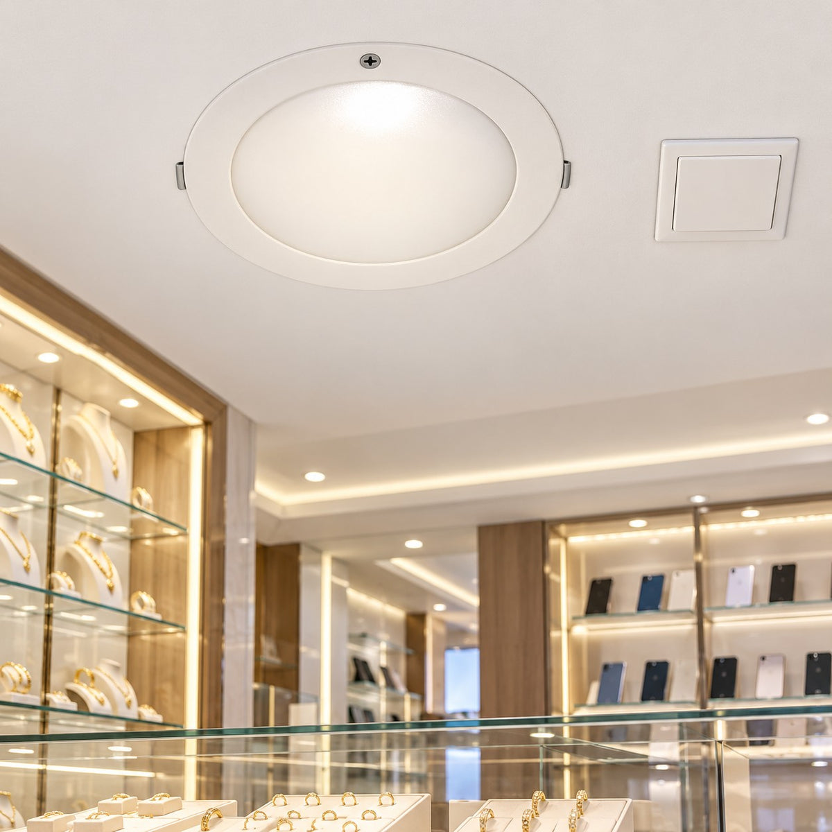 Recessed LED Spot Lights / Higher Power And Other Models - 18W Hi Power Down Lighter