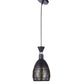Shynith Black Iron Hanging Light  | E27 holder | without Bulb | 10424-1LP | Included Bulb | Eliante by Jainsons Lights