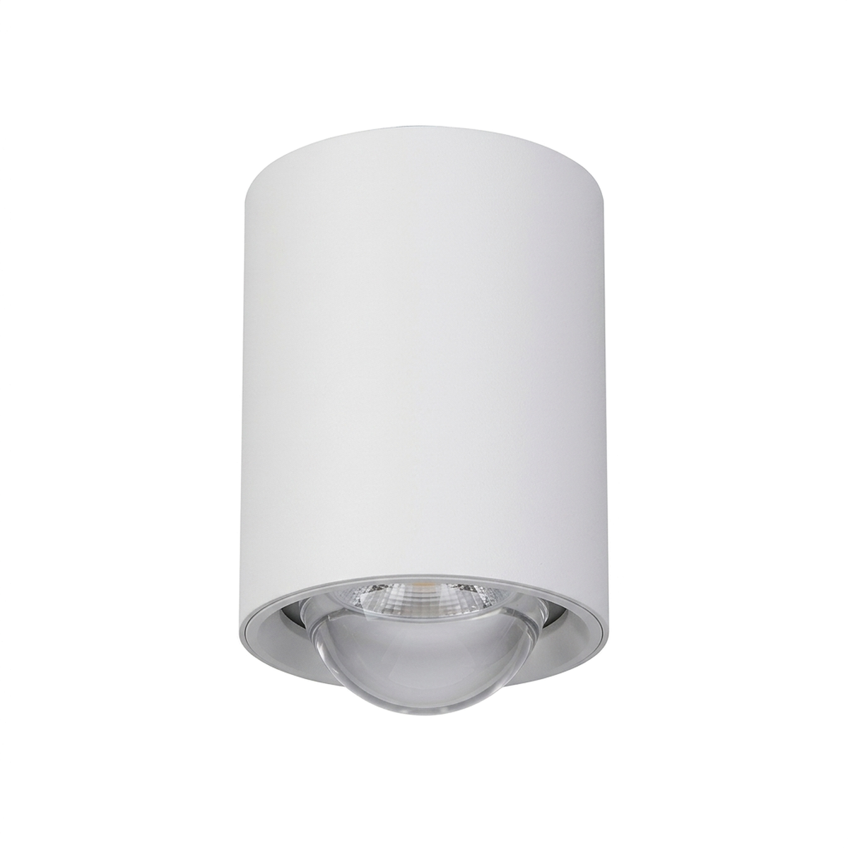 Round Surface – Fish Eye 120° COB LED downlight