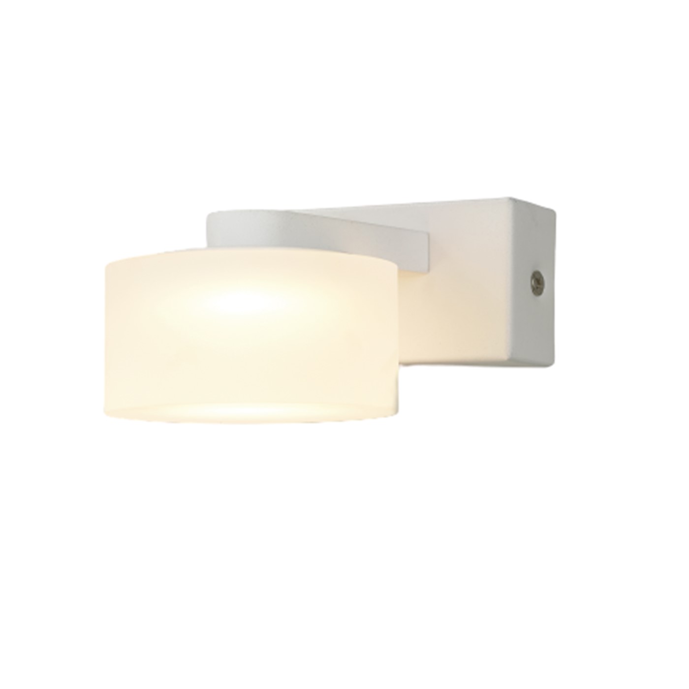 Toyo-01 -5W Led Mirror Light