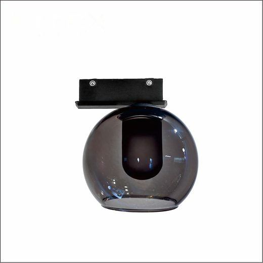 LT-TRX-4407 Glass Globe Track Spotlight