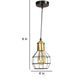 Z 021 1LP EDISON- Raven Black Metal Hanging Light